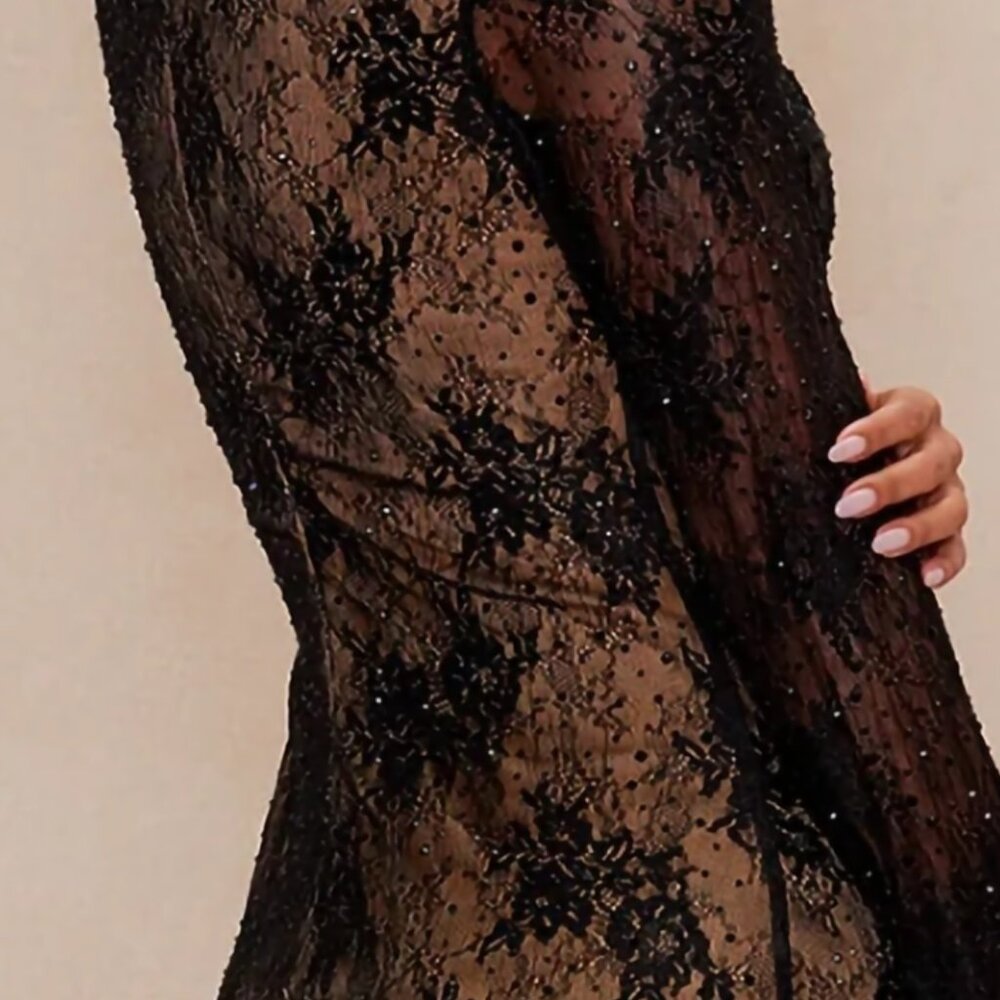 Embellished Black Lace Dress - Picture 5 of 13